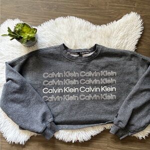 Calvin Klein Performance Gray Sweatshirt 🩶
